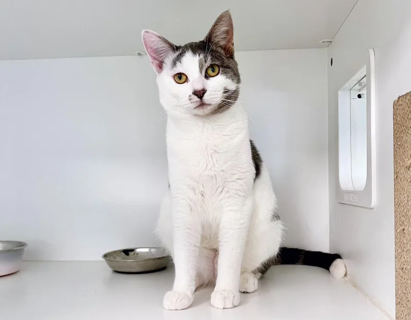 Marcella thumbnail 4