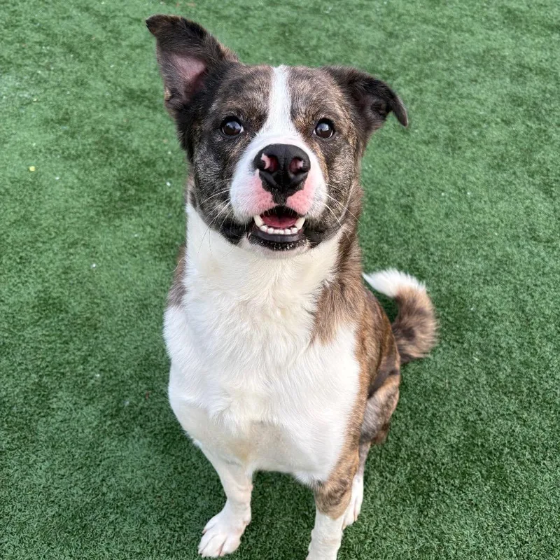 Louis Vitton thumbnail 2