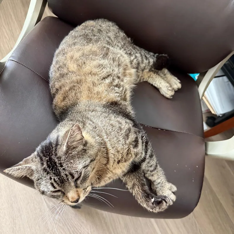 Draymond thumbnail 5