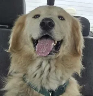 Augustus "augie" Atx thumbnail 2