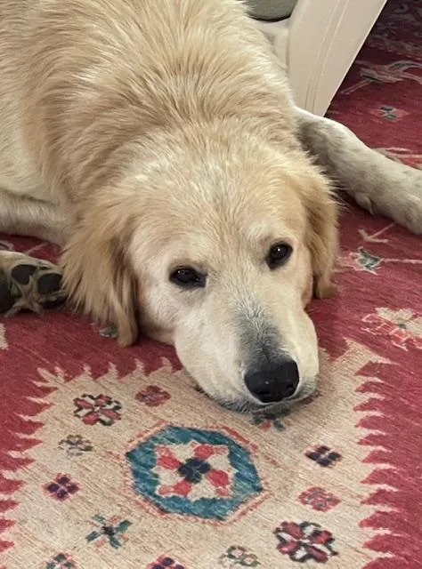 Augustus "augie" Atx thumbnail 3