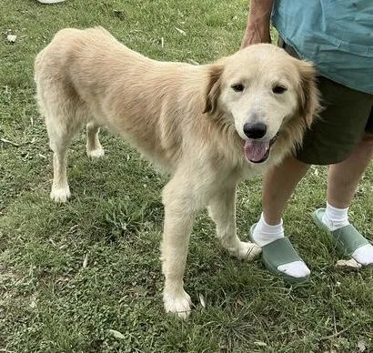 Augustus "augie" Atx thumbnail 4