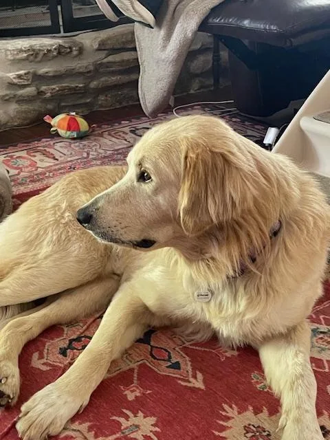 Augustus "augie" Atx thumbnail 6