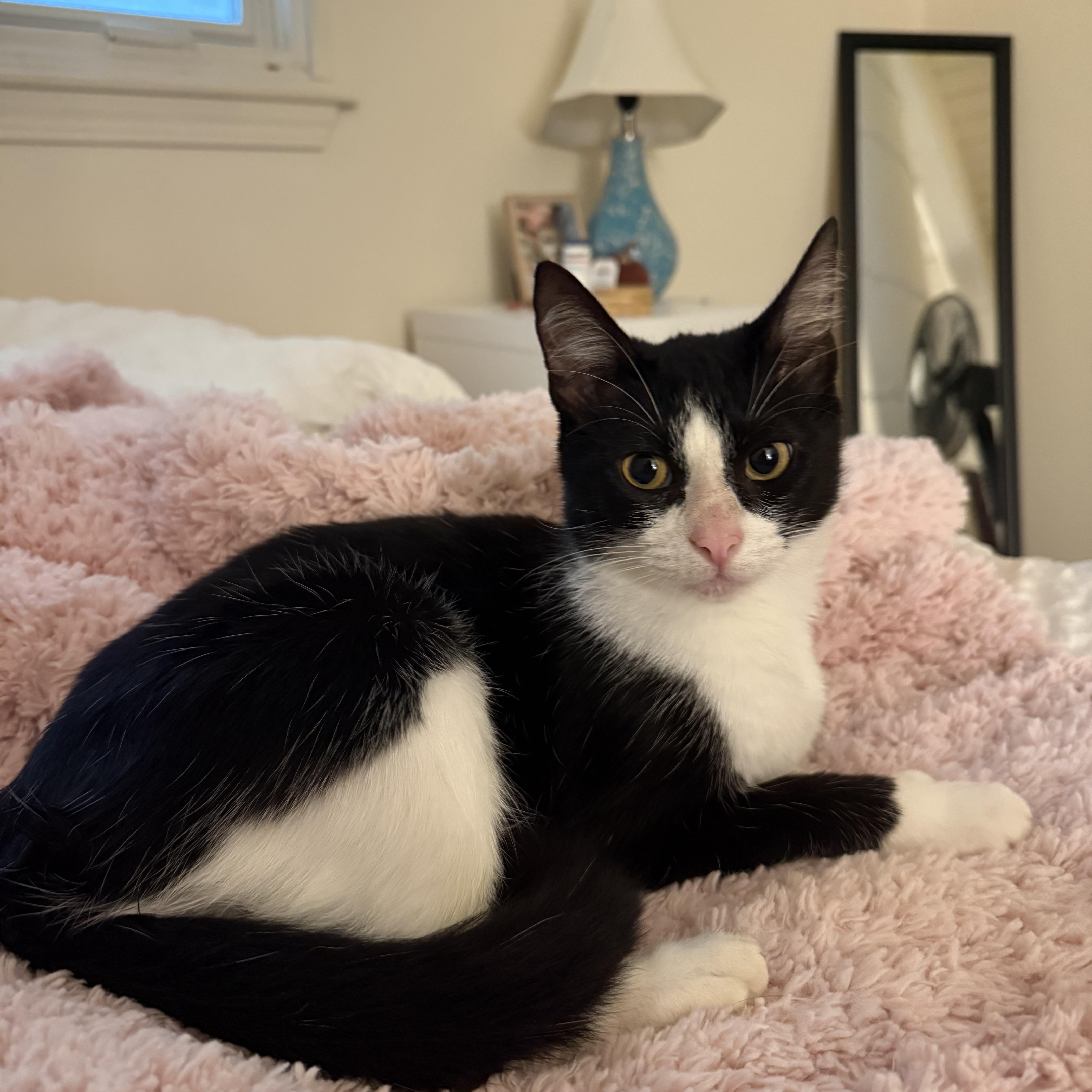 Delilah thumbnail 5