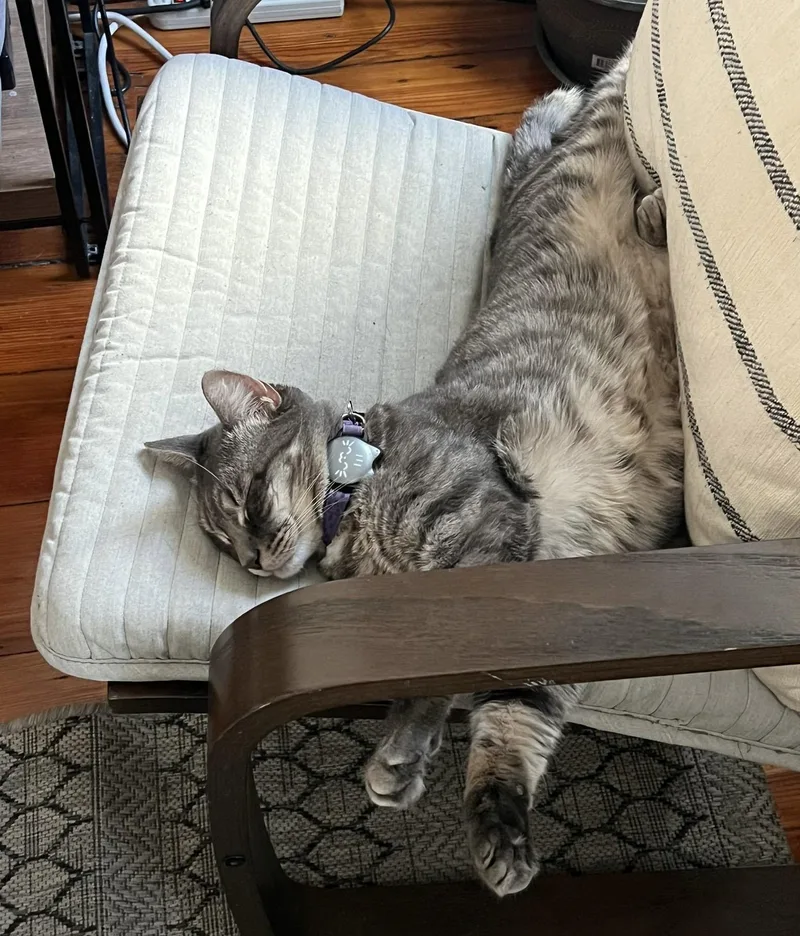 Danielle thumbnail 2