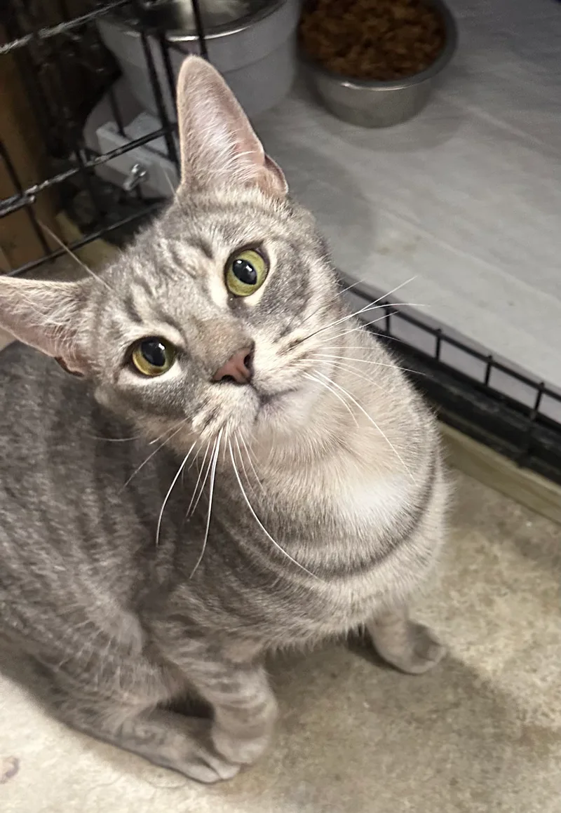 Danielle thumbnail 3