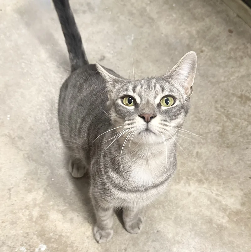 Danielle thumbnail 4