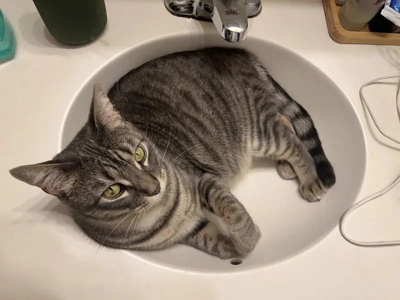 Danielle thumbnail 5