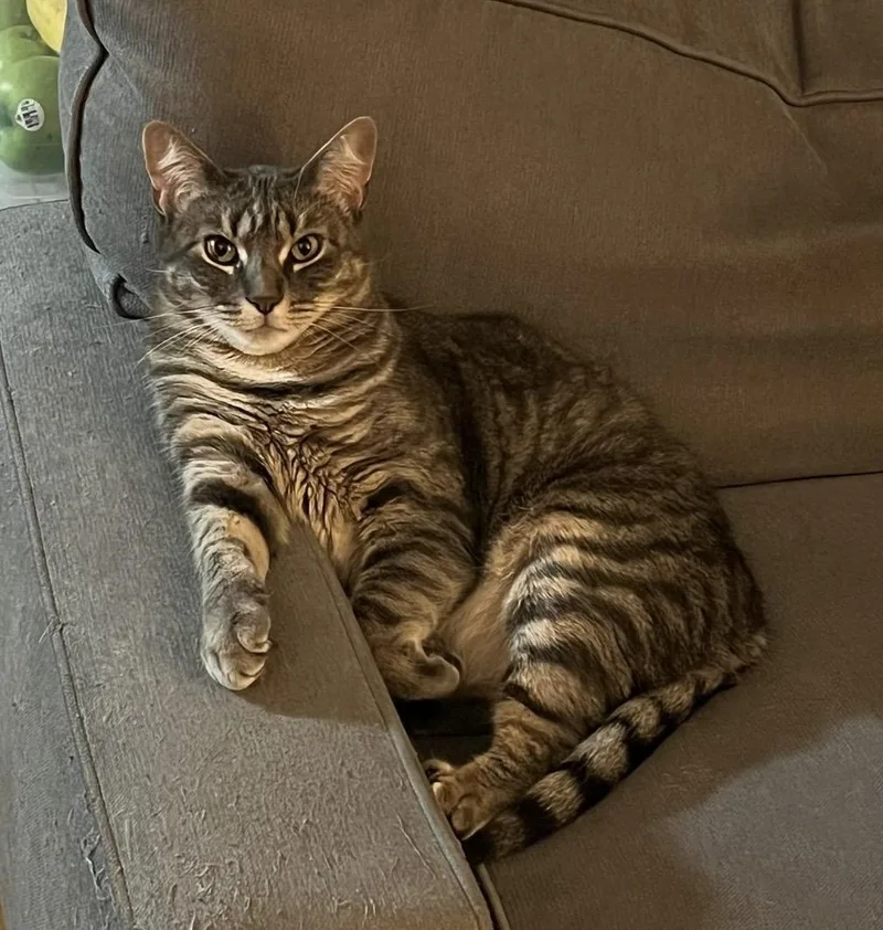 Danielle thumbnail 6