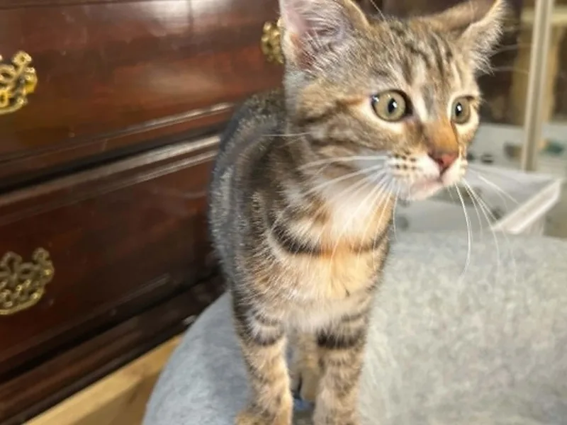 Samantha thumbnail 4