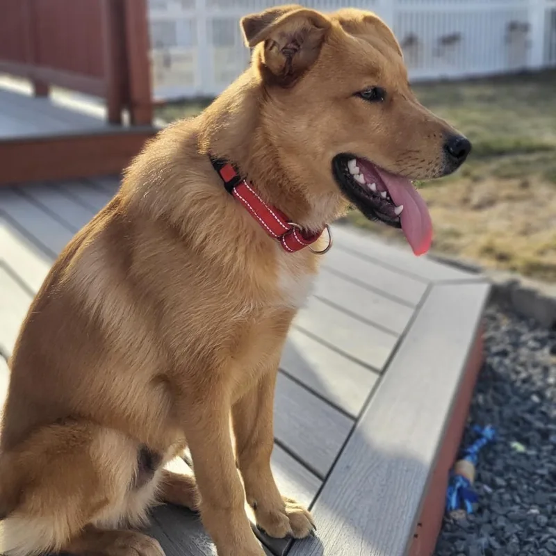 Milk Dud thumbnail 4