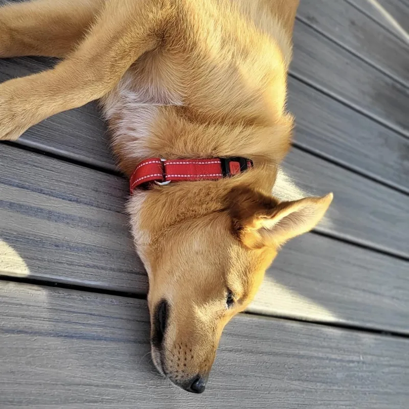 Milk Dud thumbnail 6