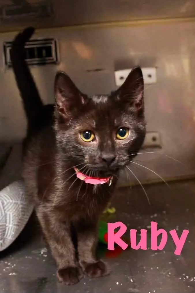 Ruby