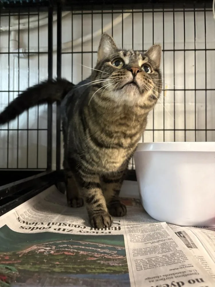 Funny Face thumbnail 3