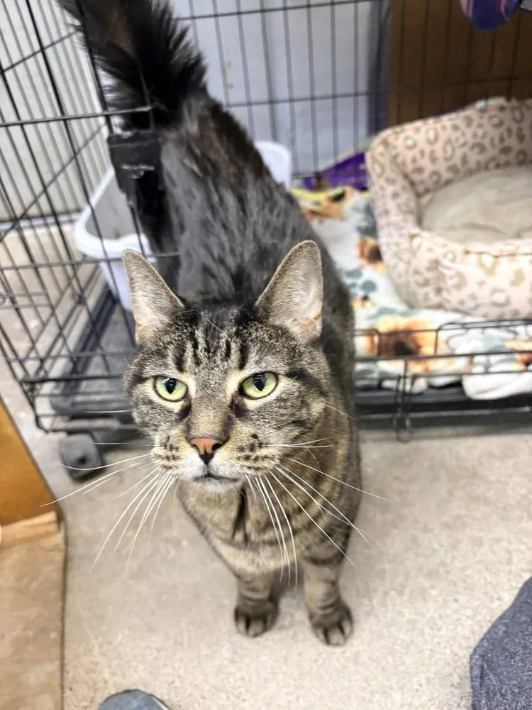 Funny Face thumbnail 5