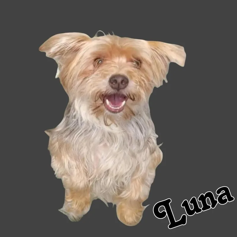 Luna thumbnail 2