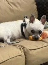 Lou thumbnail 2