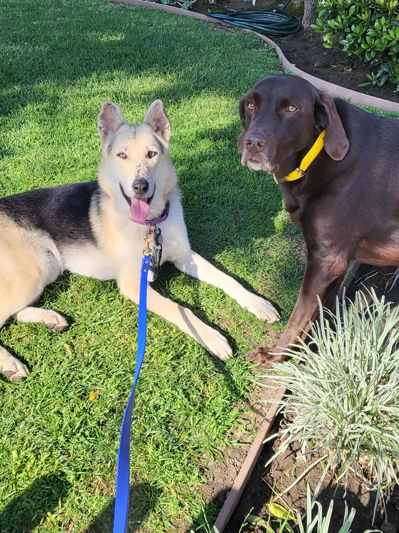 Spiderman thumbnail 2