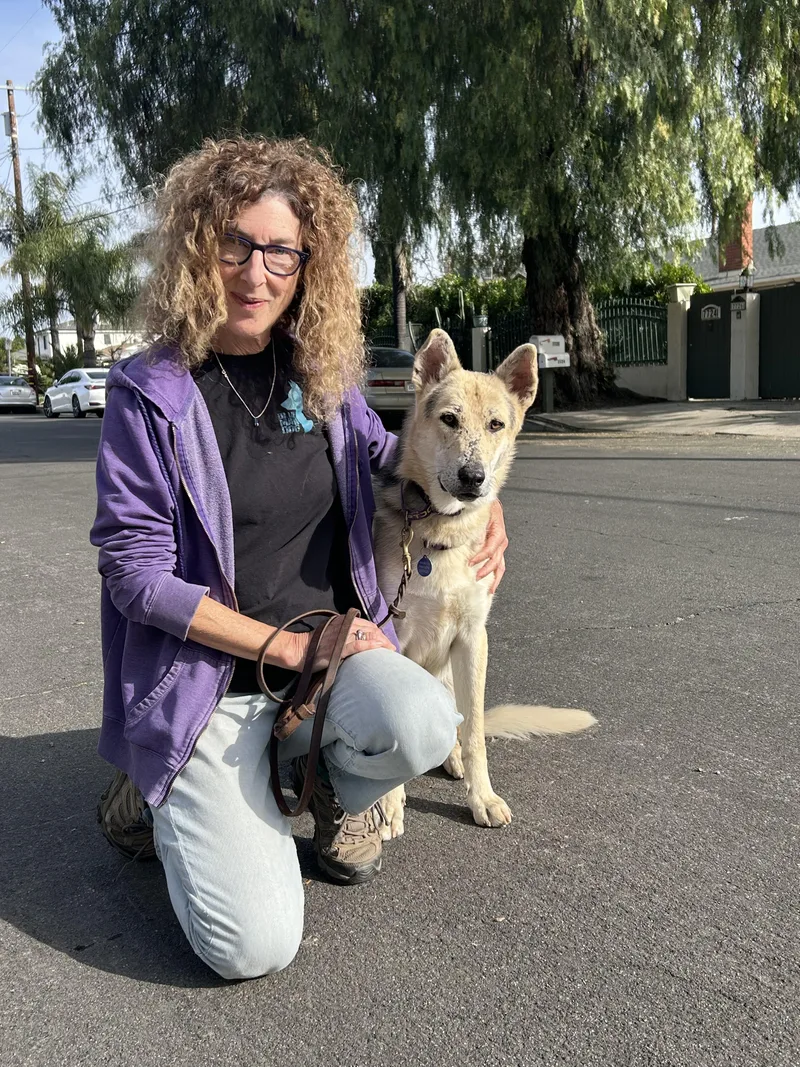 Spiderman thumbnail 3