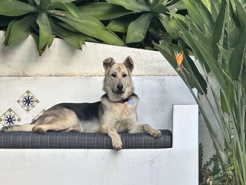 Spiderman thumbnail 4