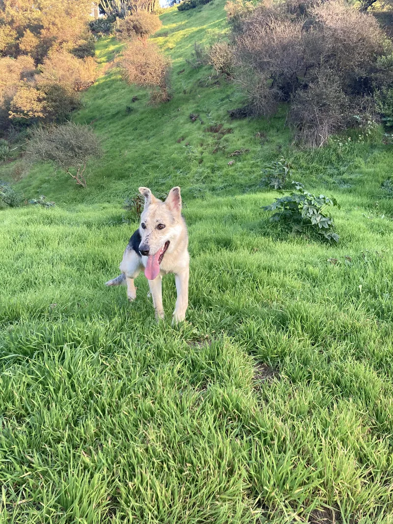 Spiderman thumbnail 5