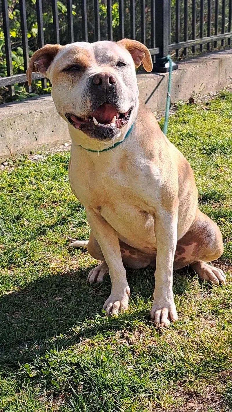 Sparkles thumbnail 3