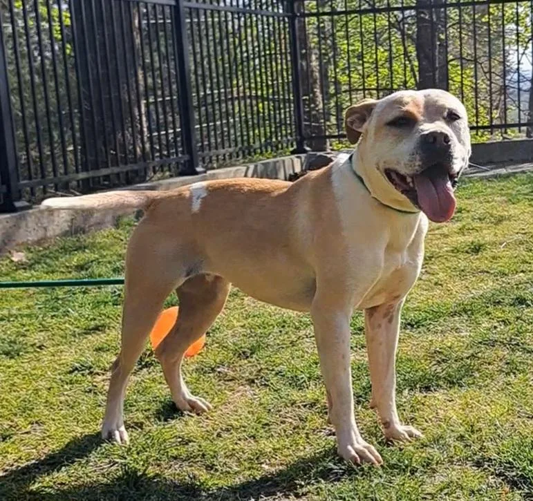 Sparkles thumbnail 4