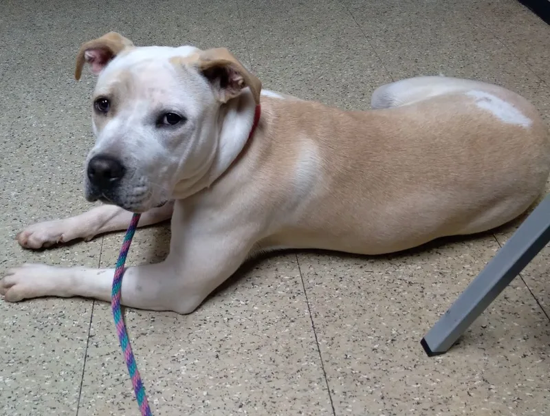 Sparkles thumbnail 5