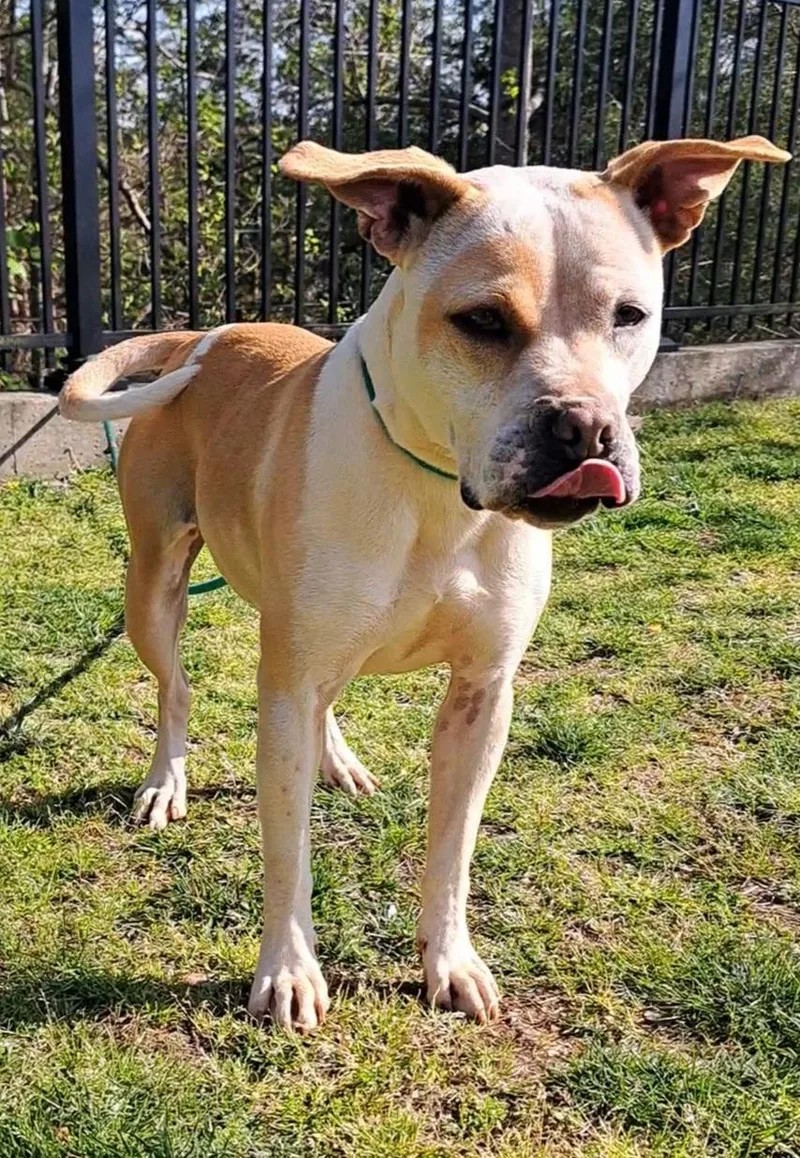 Sparkles thumbnail 6