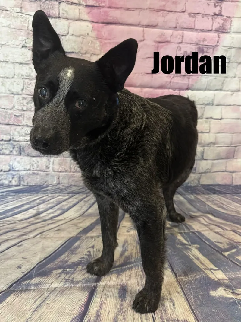 Jordan