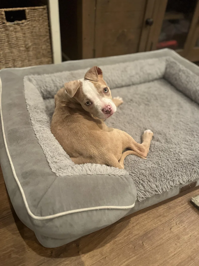 Princess Safia thumbnail 4