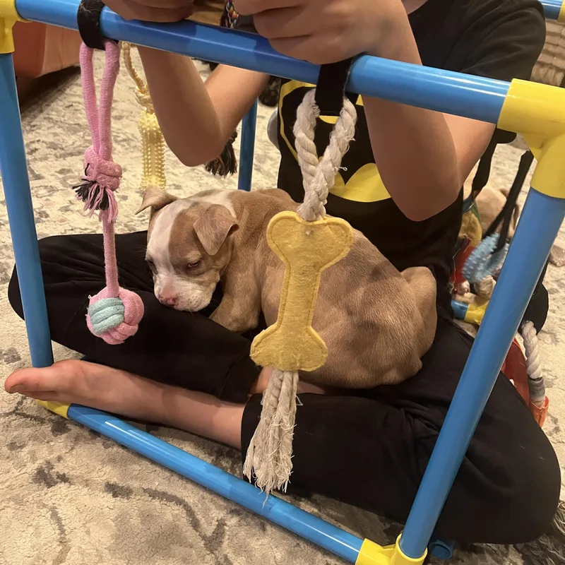 Princess Safia thumbnail 5