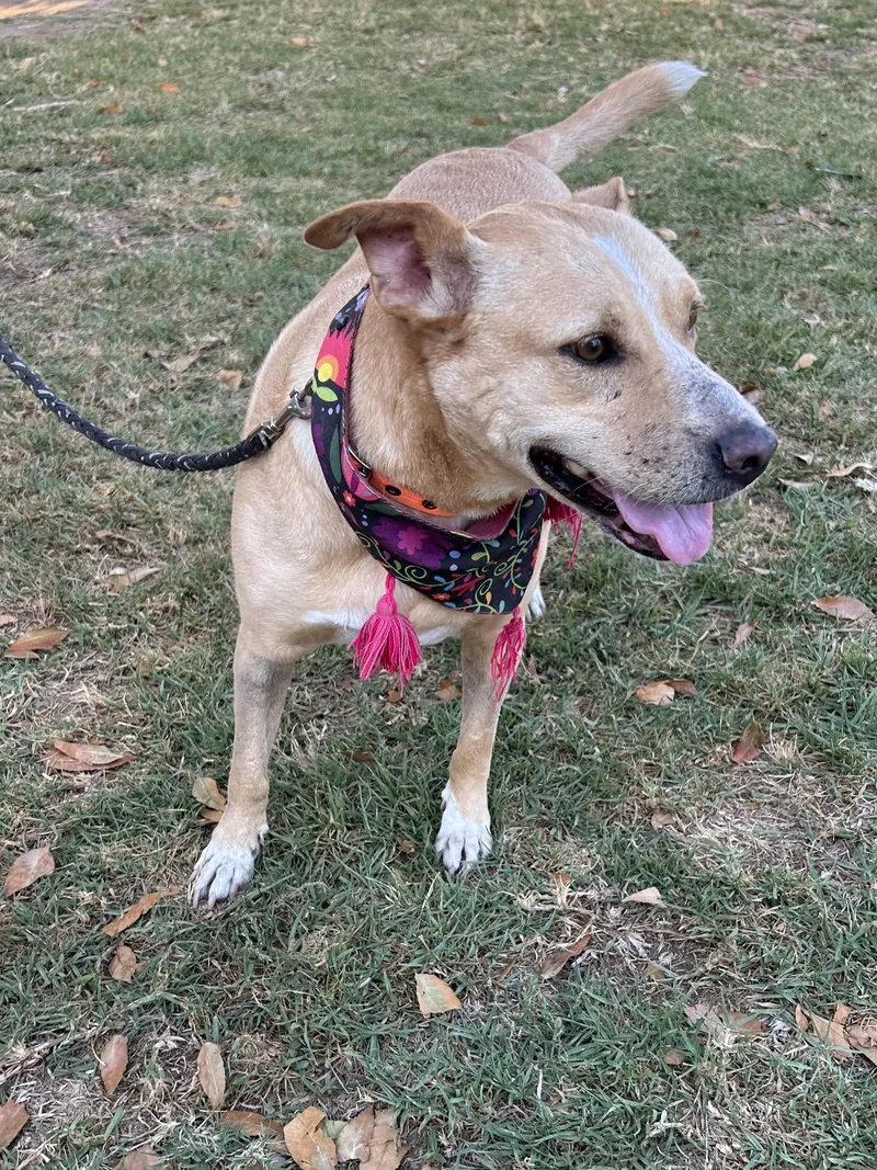 Coco