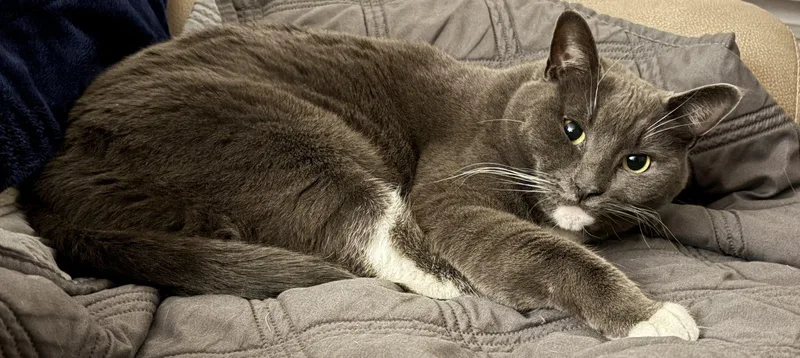 Harley Ray thumbnail 2