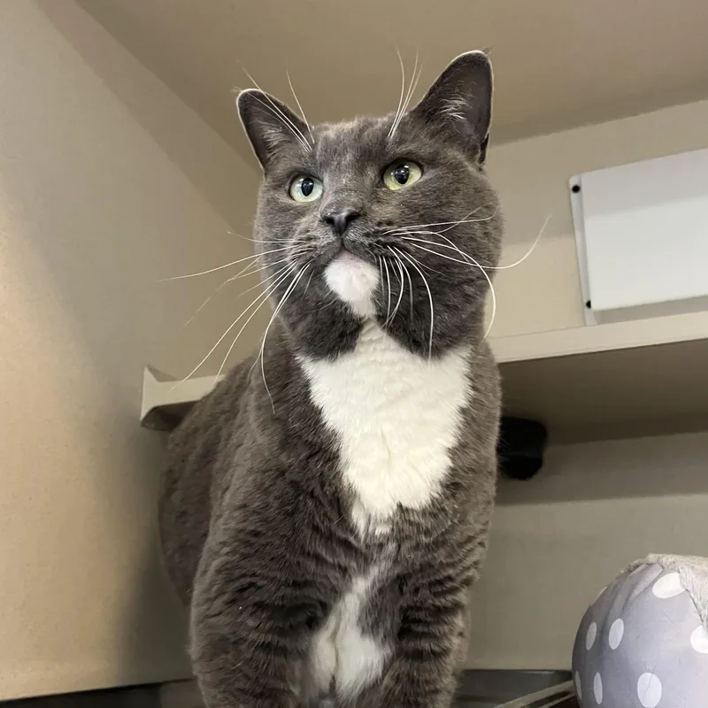 Harley Ray thumbnail 3