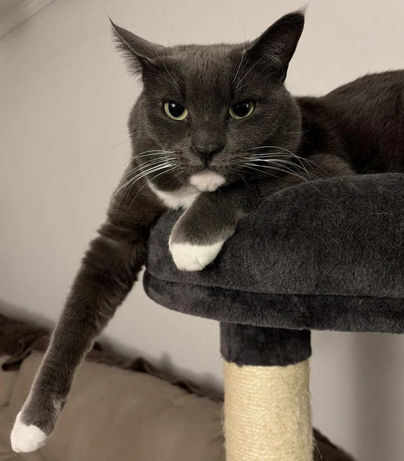 Harley Ray thumbnail 4