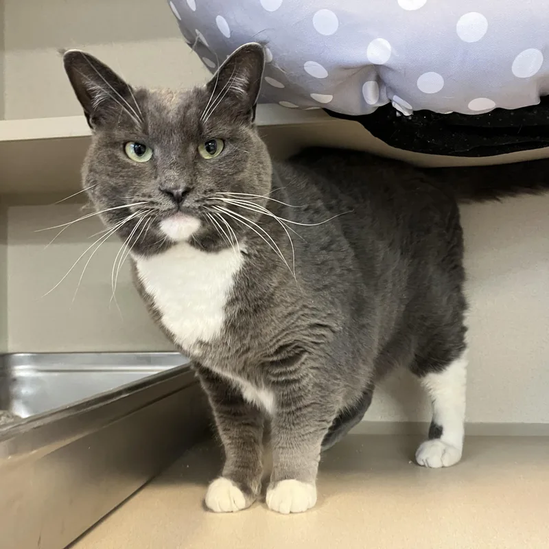 Harley Ray thumbnail 5