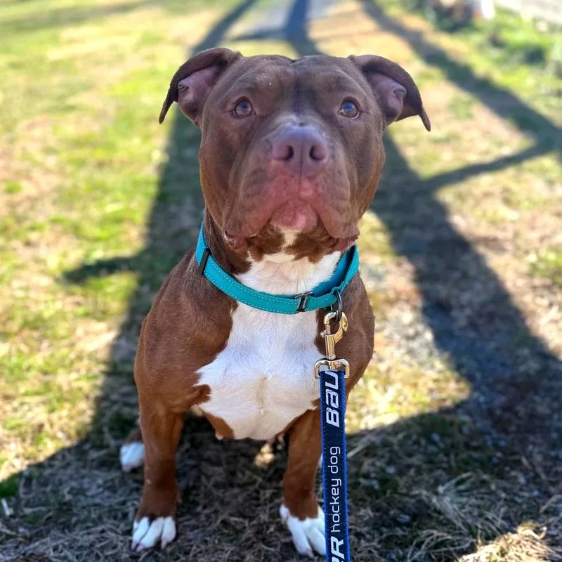 Ms. Shrimp thumbnail 3