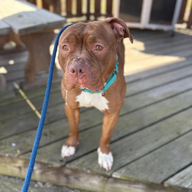 Ms. Shrimp thumbnail 4