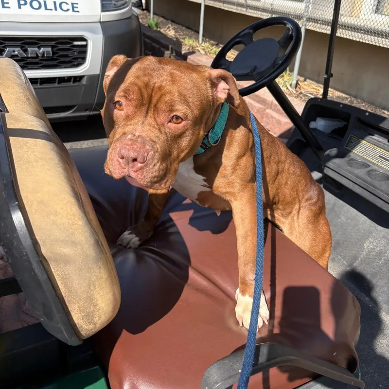 Ms. Shrimp thumbnail 6