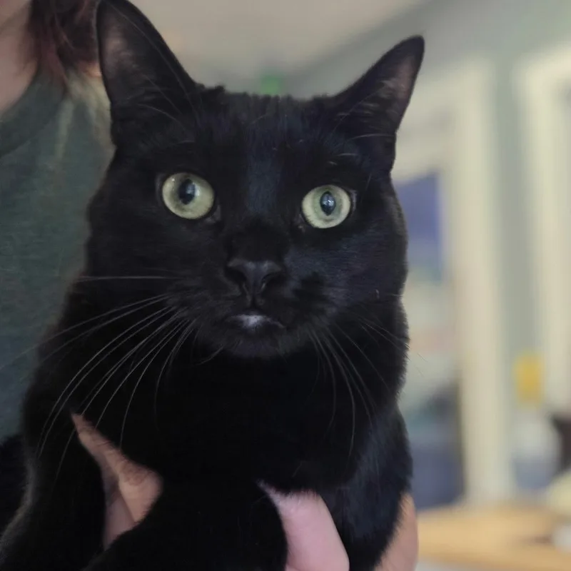 Bobby & Zoey thumbnail 2