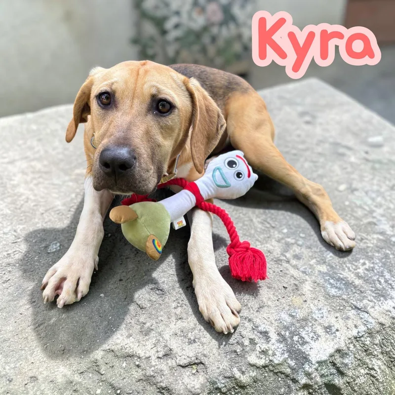 Kyra thumbnail 2