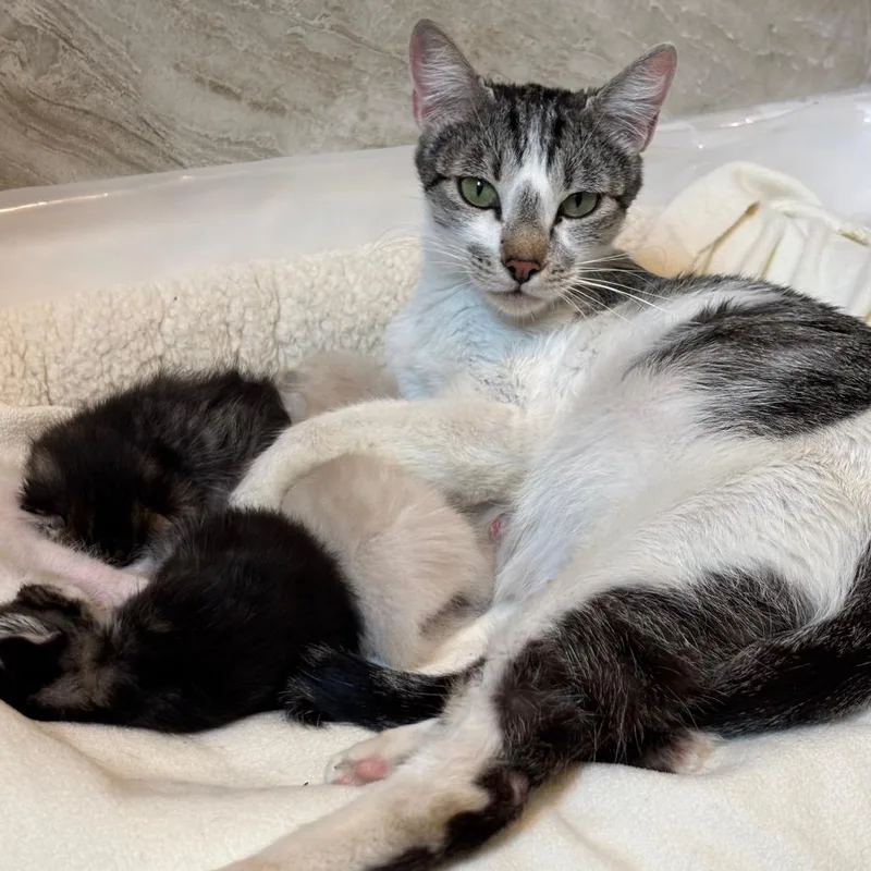 Daisy Faye mamma thumbnail 2