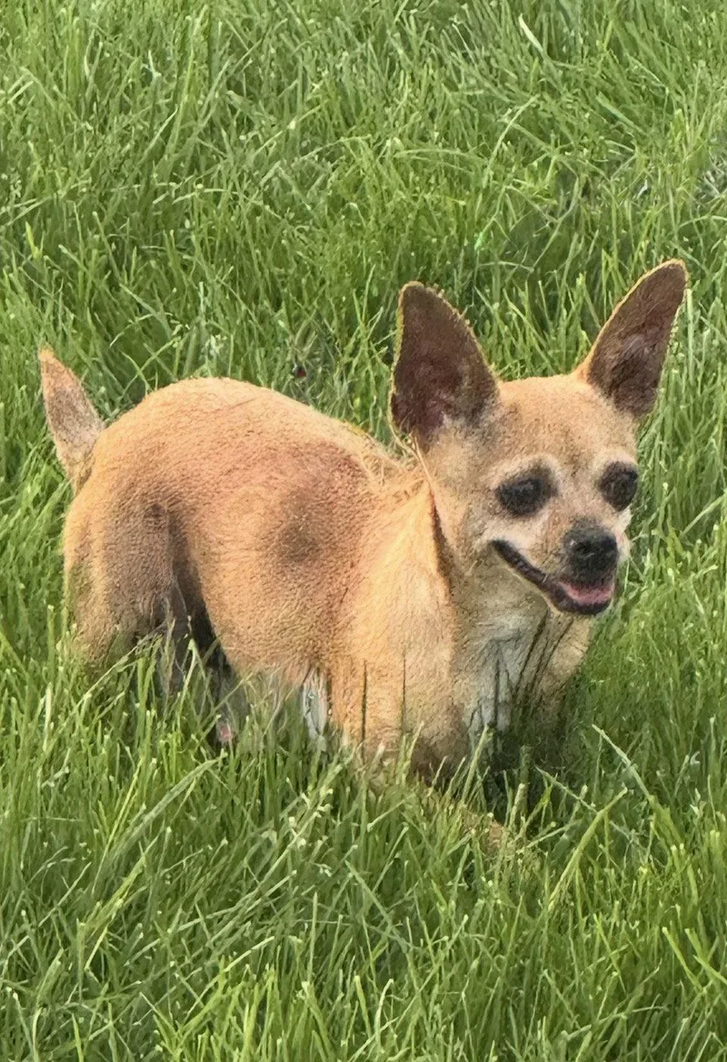 Tina