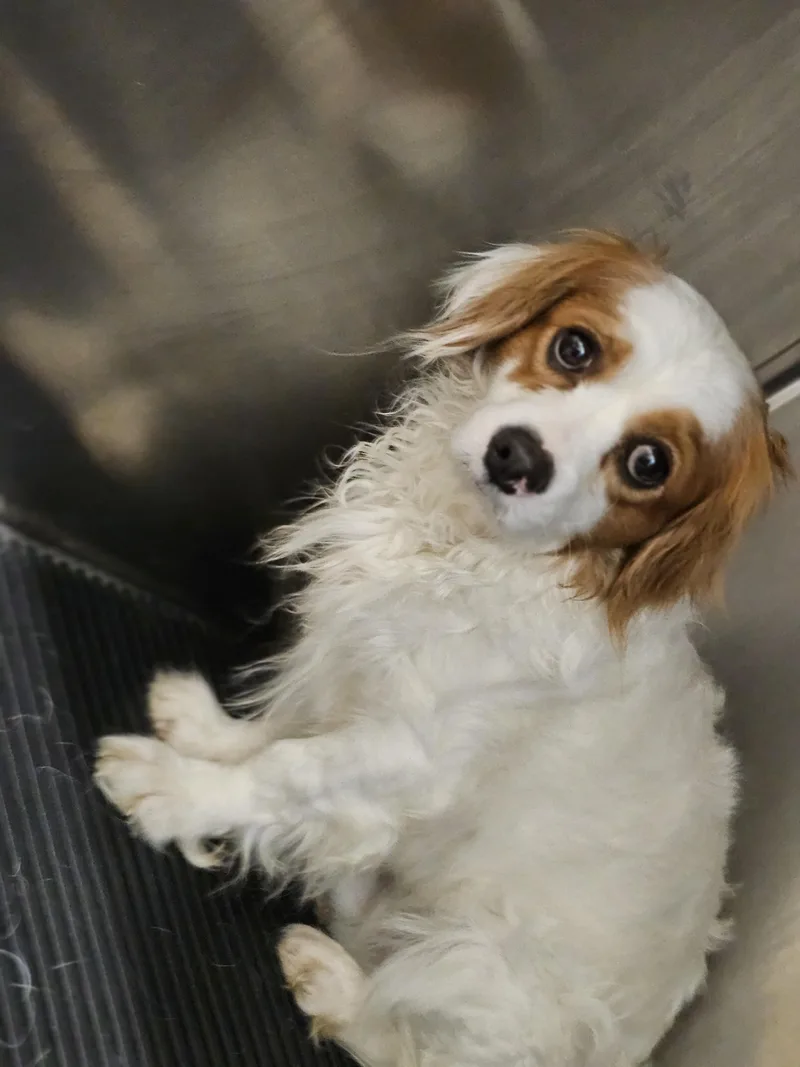 Franklin thumbnail 5