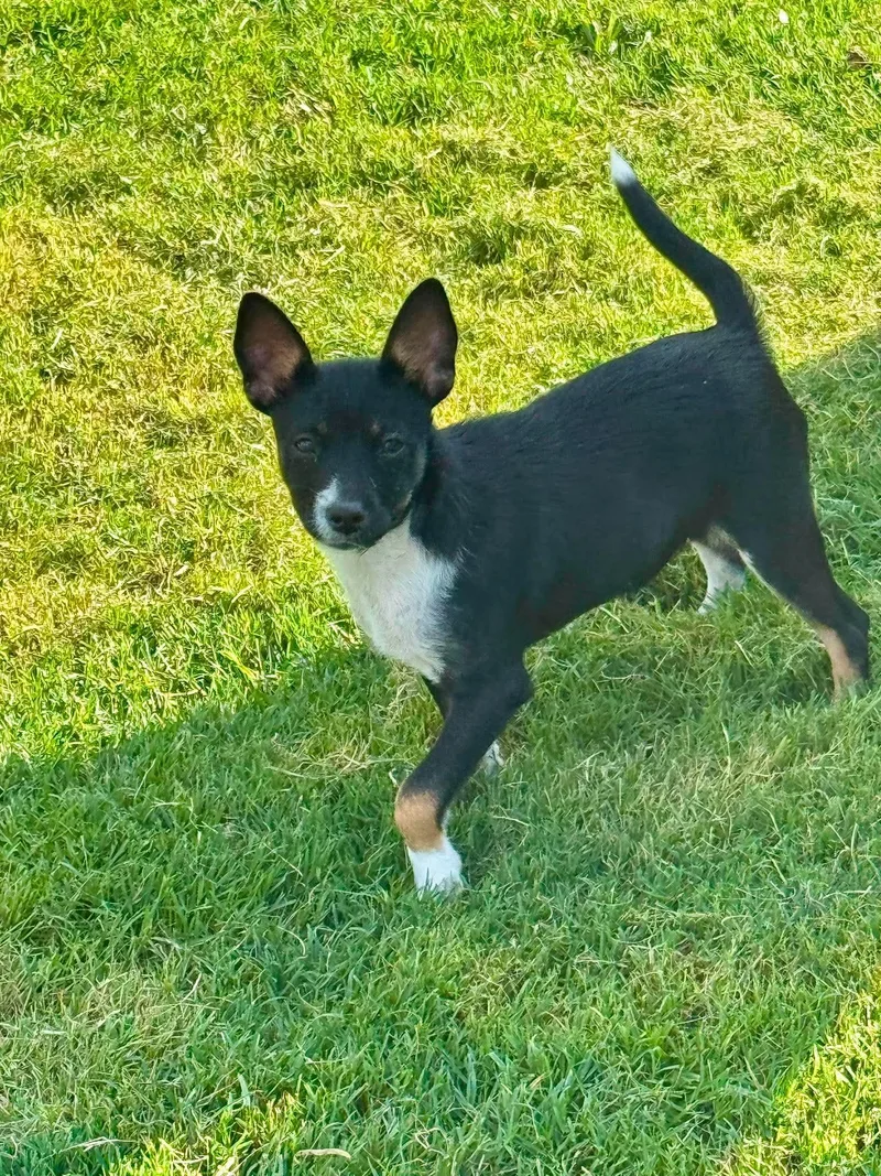 Winnie