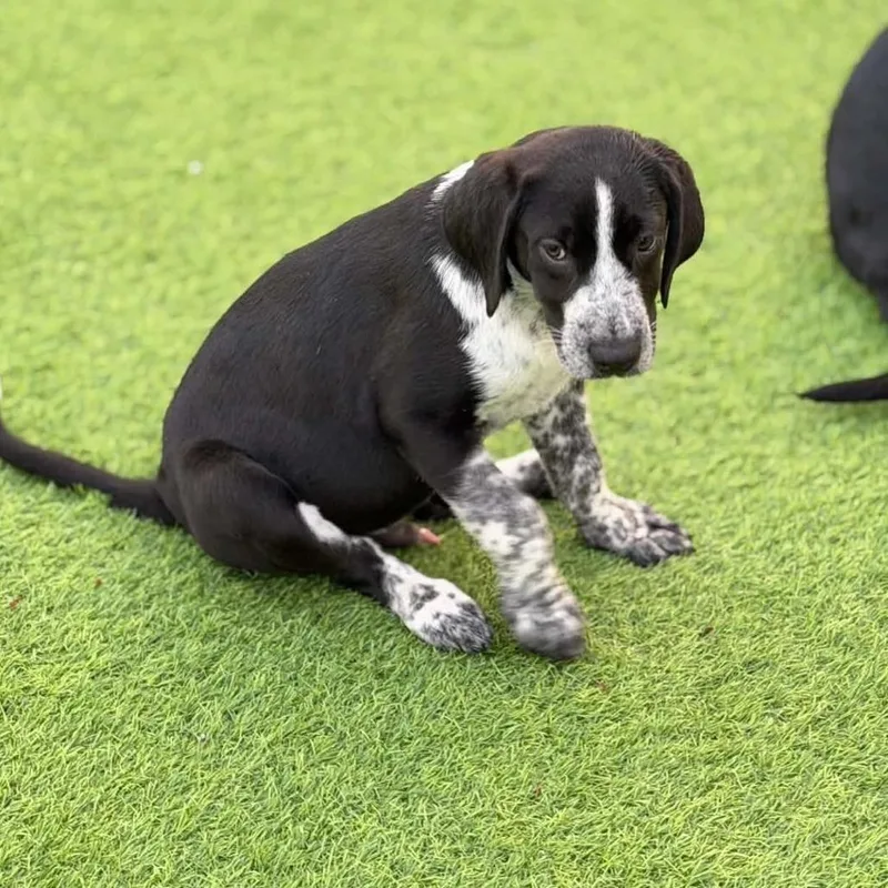 Garth Brooks thumbnail 2