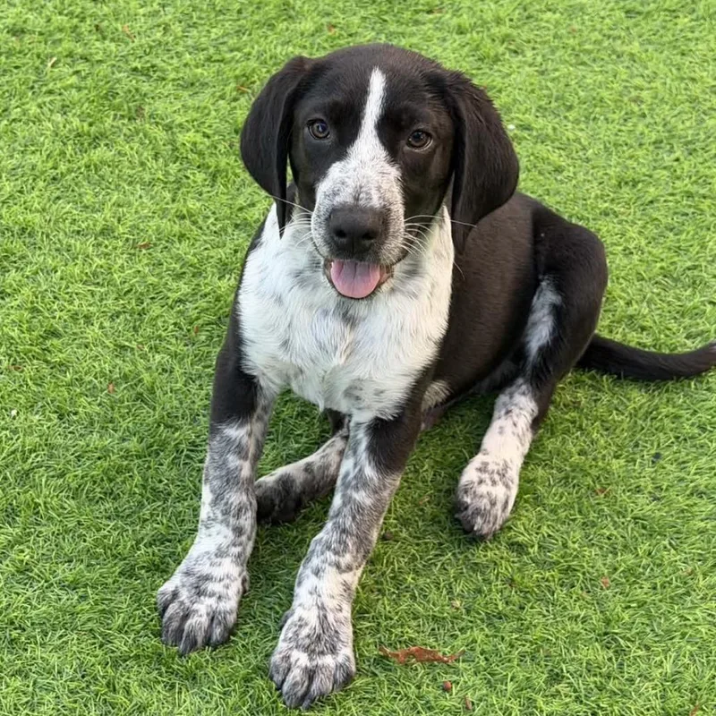 Garth Brooks thumbnail 3