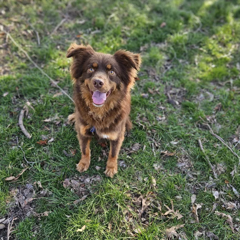 Finn So Il thumbnail 3