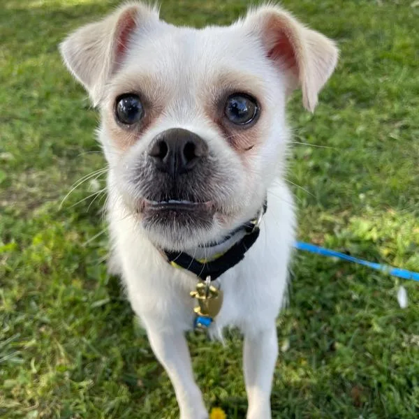 Guinness thumbnail 2